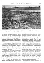 giornale/IEI0013444/1942/unico/00000397