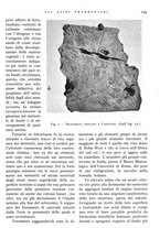 giornale/IEI0013444/1943/V.24.1/00000171