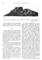 giornale/IEI0013444/1943/V.24.1/00000172