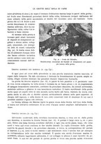 giornale/IEI0013444/1944/unico/00000169