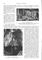 giornale/IEI0013444/1944/unico/00000188