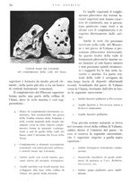 giornale/IEI0013444/1946/unico/00000072