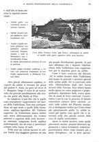 giornale/IEI0013444/1946/unico/00000079