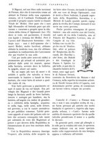 giornale/IEI0013444/1946/unico/00000134