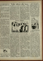 giornale/IEI0051874/1916/31/3