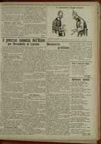 giornale/IEI0051874/1917/13/3