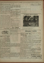 giornale/IEI0051874/1917/37/3