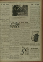 giornale/IEI0051874/1919/31/3