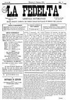 giornale/IEI0106420/1872/Febbraio/1