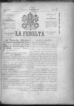 giornale/IEI0106420/1895/Novembre/1