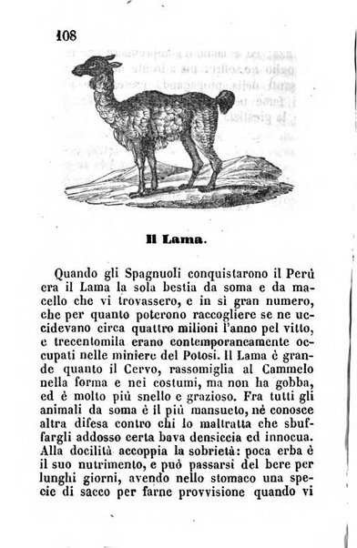 Il vero amico almanacco romano