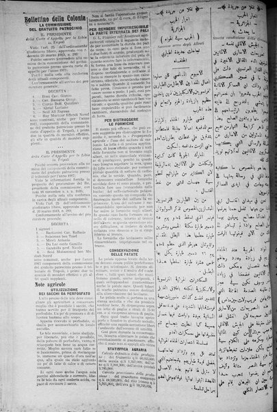 La nuova Italia : giornale quotidiano illustrato della Tripolitania e Cirenaica