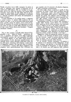 giornale/IEI0126090/1925/unico/00000135