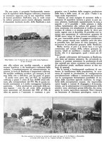 giornale/IEI0126090/1926/unico/00000326