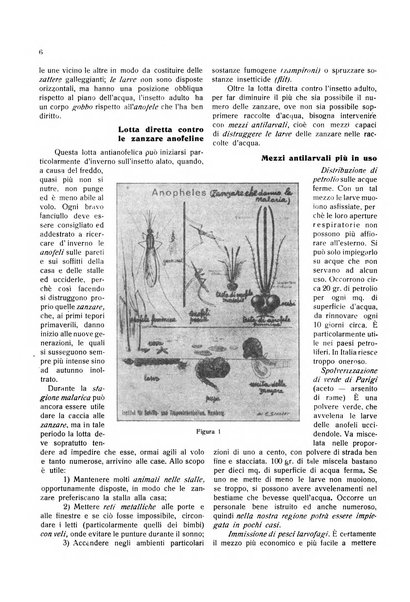 Mediterranea rivista mensile di cultura e di problemi isolani