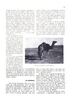 giornale/IEI0127389/1929/unico/00000117
