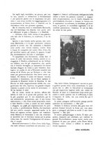 giornale/IEI0127389/1929/unico/00000465