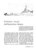 giornale/IEI0127389/1933/unico/00000301