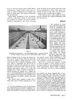 giornale/IEI0127389/1933/unico/00000359