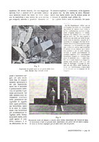 giornale/IEI0127389/1933/unico/00000361