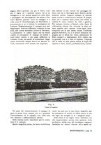 giornale/IEI0127389/1933/unico/00000477