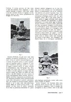giornale/IEI0127389/1934/unico/00000105