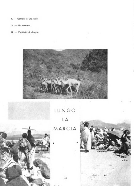 Mediterranea rivista mensile di cultura e di problemi isolani