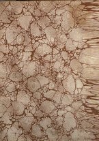 giornale/LO10000318/1909/P.2/00000003