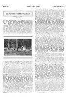 giornale/LO10010767/1916/unico/00000057