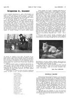 giornale/LO10010767/1916/unico/00000077