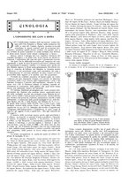 giornale/LO10010767/1916/unico/00000121