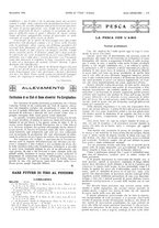 giornale/LO10010767/1916/unico/00000229