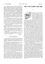 giornale/LO10010767/1917-1920/unico/00000012