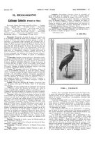 giornale/LO10010767/1917-1920/unico/00000019