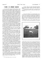 giornale/LO10010767/1917-1920/unico/00000029