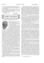 giornale/LO10010767/1917-1920/unico/00000033