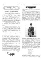 giornale/LO10010767/1917-1920/unico/00000109