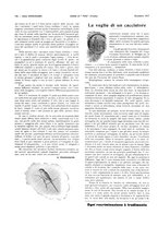 giornale/LO10010767/1917-1920/unico/00000178