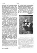 giornale/LO10010767/1917-1920/unico/00000221