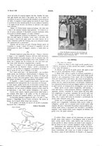 giornale/LO10010767/1917-1920/unico/00000425