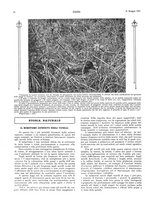 giornale/LO10010767/1921/unico/00000112