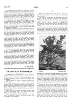 giornale/LO10010767/1922/unico/00000163