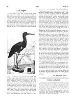 giornale/LO10010767/1922/unico/00000226