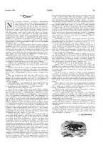 giornale/LO10010767/1922/unico/00000311