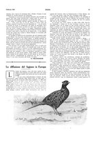 giornale/LO10010767/1923/unico/00000033