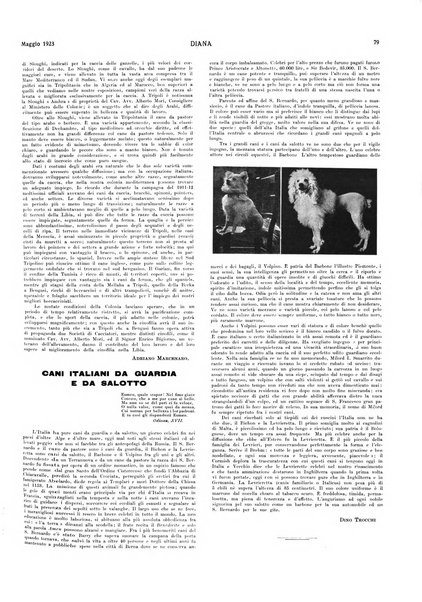 Diana rivista venatoria quindicinale