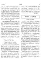 giornale/LO10010767/1924/unico/00000017