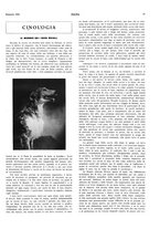 giornale/LO10010767/1924/unico/00000023