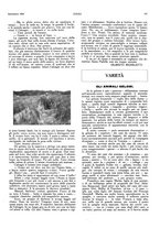 giornale/LO10010767/1924/unico/00000259