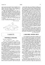 giornale/LO10010767/1924/unico/00000347